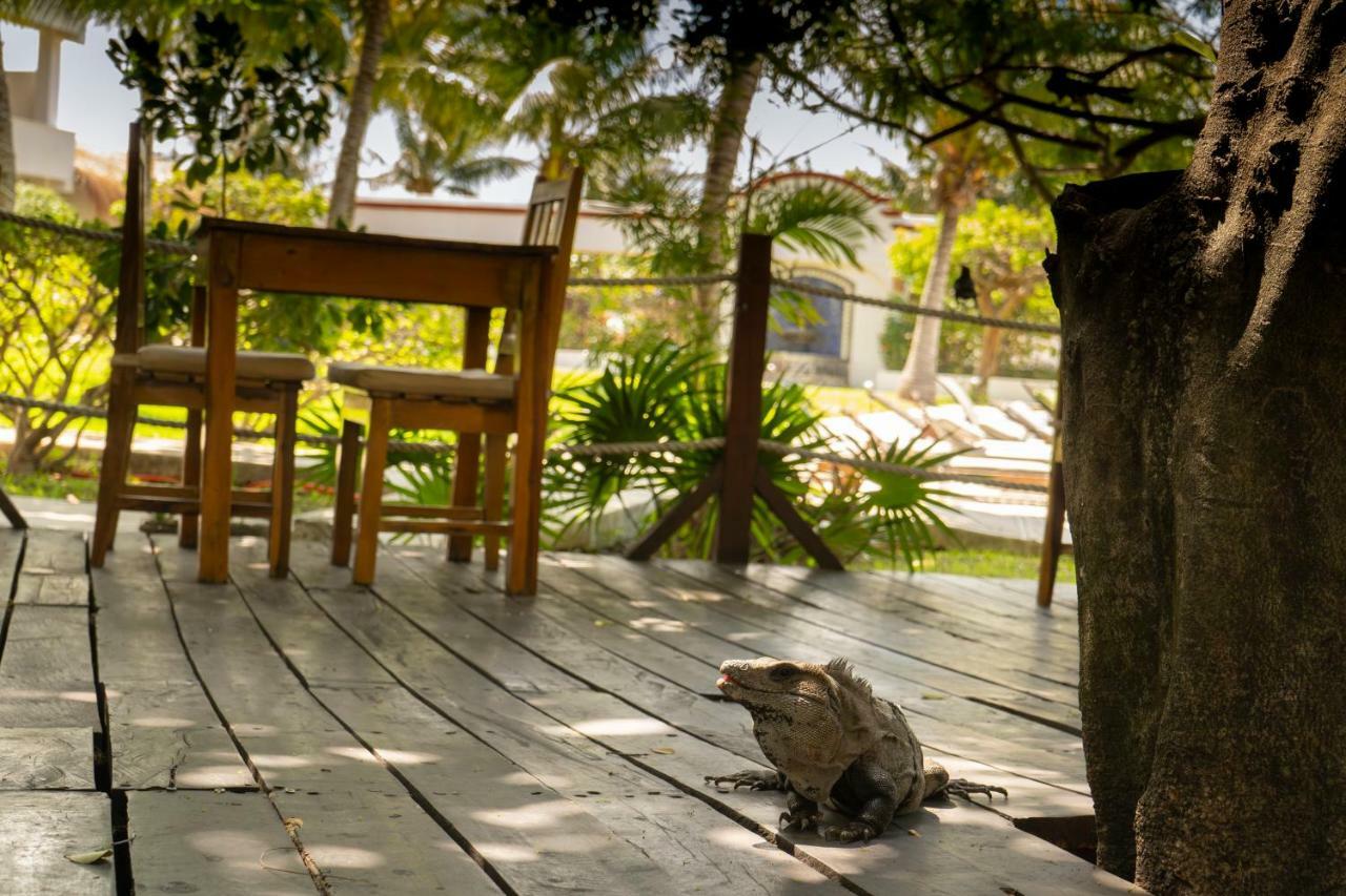 Marina Paraiso Isla Mujeres Hotel Luaran gambar